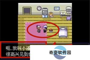 口袋妖怪漆黑的魅影5.0
