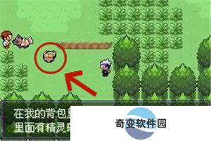 口袋妖怪漆黑的魅影5.0