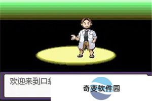 口袋妖怪漆黑的魅影5.0