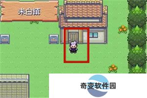 口袋妖怪漆黑的魅影5.0