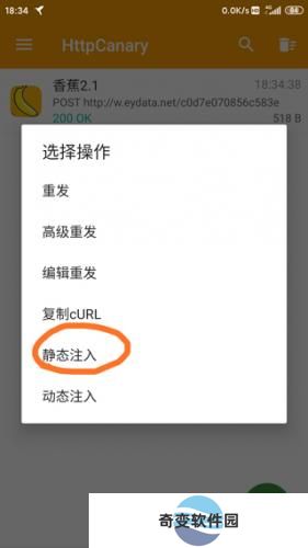 小黄鸟抓包