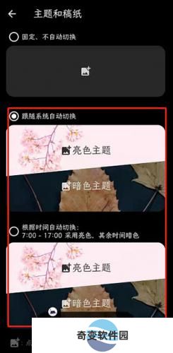 纯纯写作高级版
