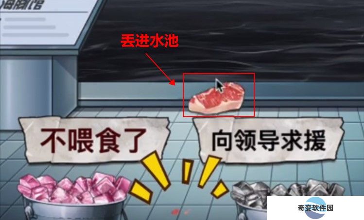 鲨鱼怪谈