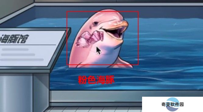 鲨鱼怪谈