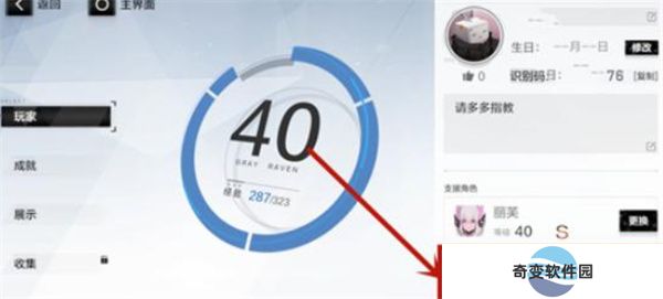 战双帕弥什安卓版