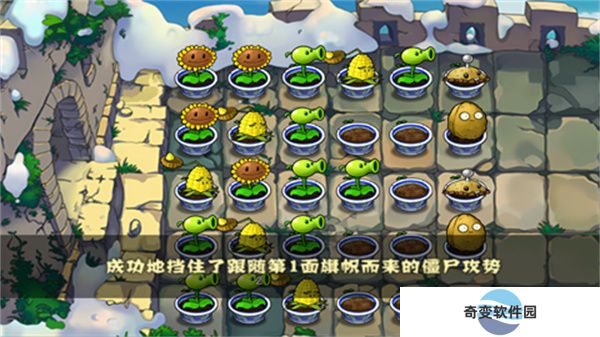 植物大战僵尸中国版