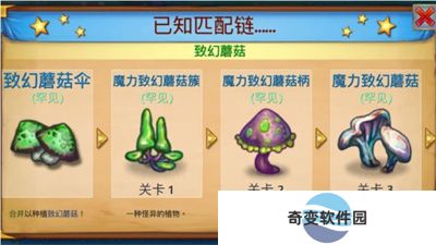 合成龙APP安卓版
