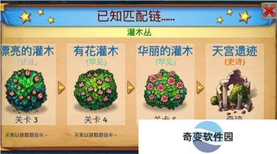 合成龙APP安卓版