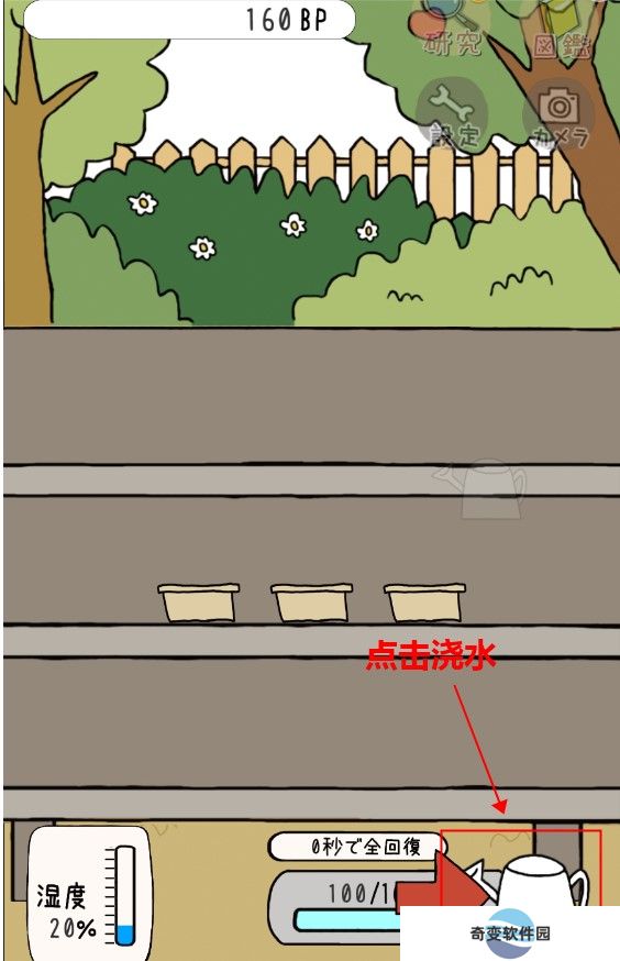 盆栽大师