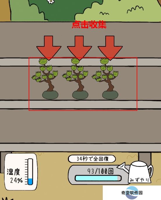 盆栽大师