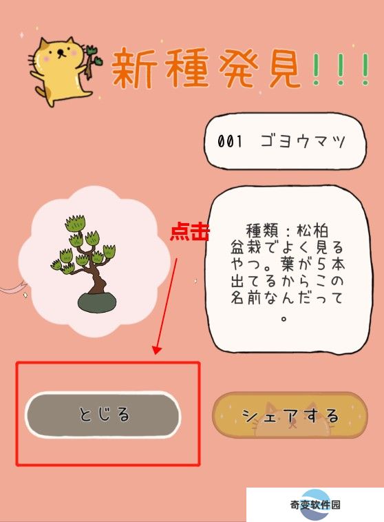 盆栽大师