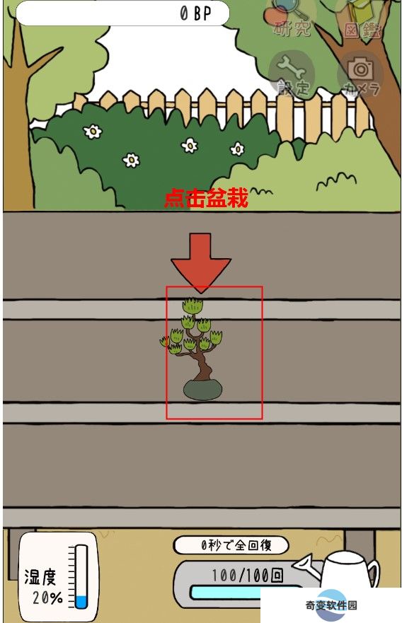 盆栽大师