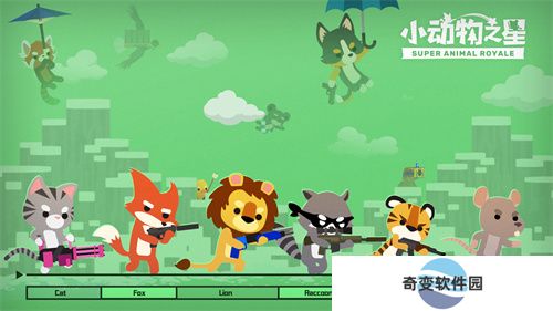 小动物之星