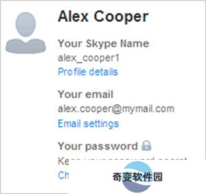 skype国际版