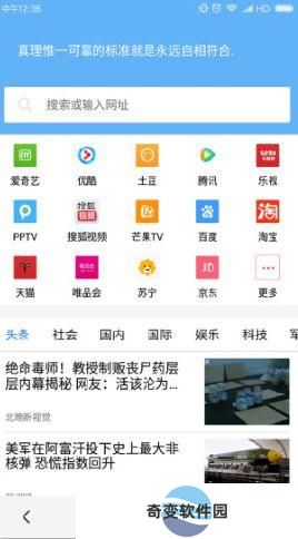 vip浏览器